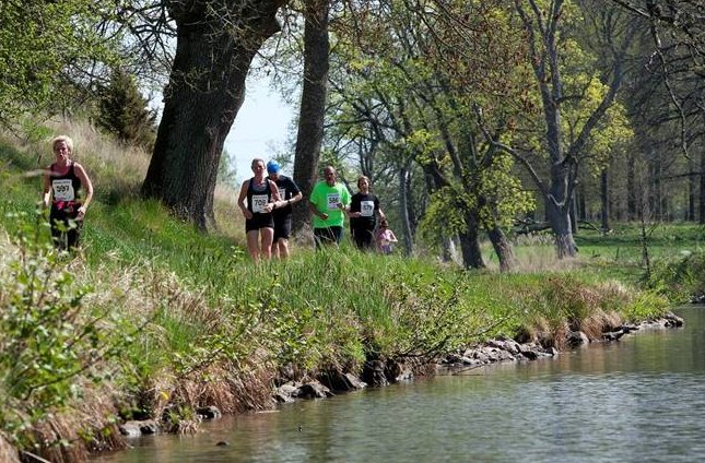 k2016 3.jpg (113524 bytes)